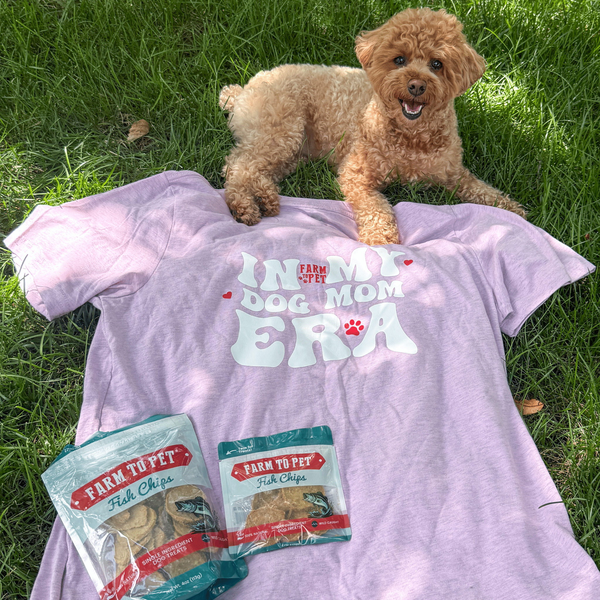 "Dog Mom Era" T-shirt | Paw-fect Gift for Dog Moms