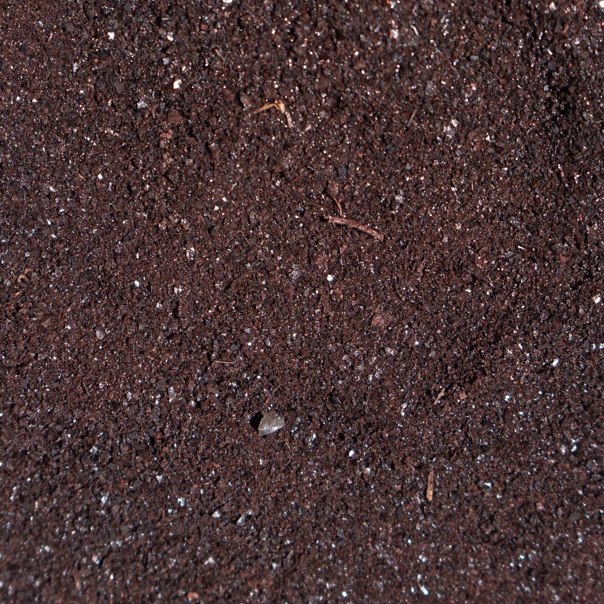 Freeze-Dried Beef Blood | Meal Topper