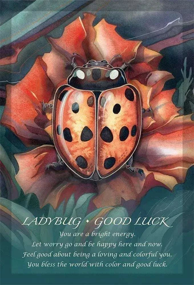 Spirit Of The Animals Oracle Deck