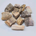 Petrified Wood Rough